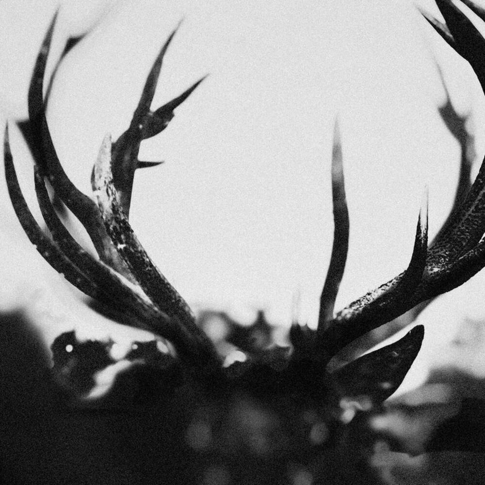 Ihsahn - IHSAHN - Black Yolk  LP LP